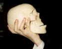 Имя файла=cranium.jpg
Размер файла=18КБ
Размеры=350x277
Дата=Сент 20, 2008 cranium.jpg