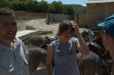 crimea09c_seva_049.jpg