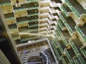 isef08_0022.jpg